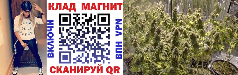 Продажа наркотиков Выкса МДМА  ГАШИШ  СК  АМФЕТАМИН 
