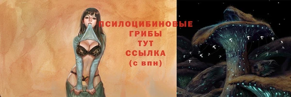 apvp Переславль-Залесский