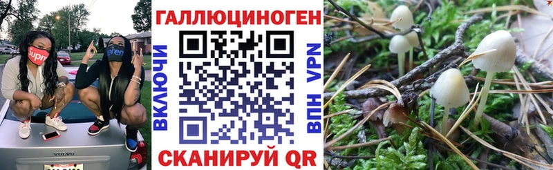 дарнет шоп  мориарти Telegram  Псилоцибиновые грибы GOLDEN TEACHER  Выкса 